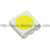 5050 PLCC6 상단 SMD LED(흰색)
