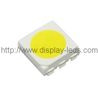 5050 PLCC6 상단 SMD LED(흰색)